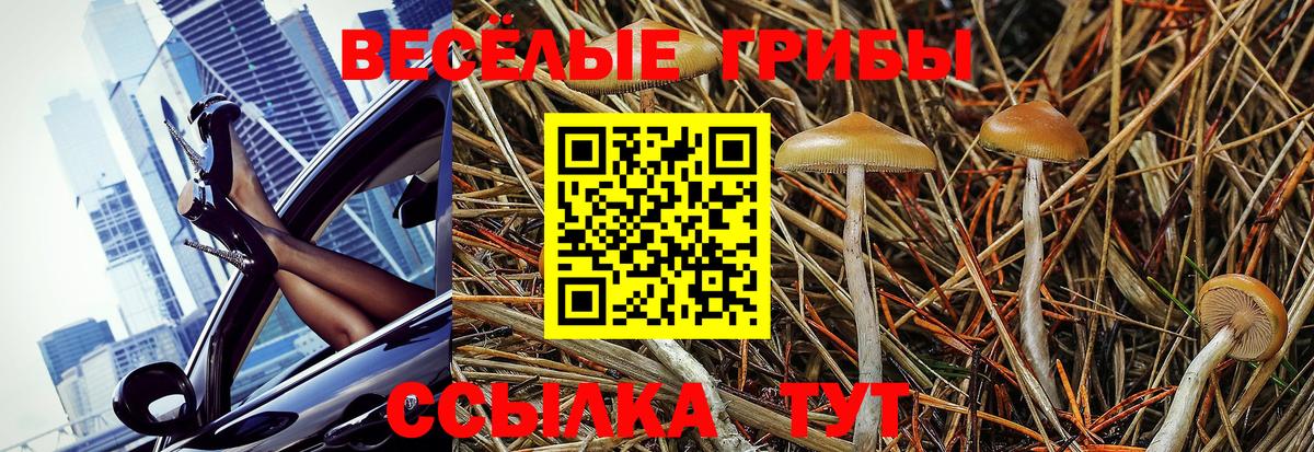 Псилоцибиновые грибы Magic Shrooms  Вход с VPN  Галлюциногенные грибы прущие грибы  Зеленодольск 
